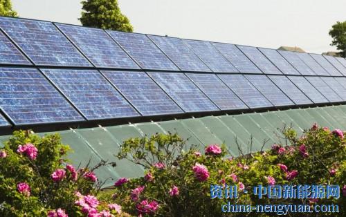                                                                                                                                                                     
	花園附近的太陽能組件特色圖片：Jim Parkin / Shutterstock.com
	

	　　路透社周三表示，巴西光伏太陽能協(xié)會（Absolar）預計該國將于2018年結