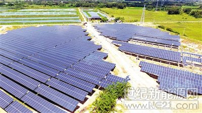  9月6日，定安縣定城鎮(zhèn)龍嶺村，定安協(xié)鑫“漁光互補(bǔ)”光伏扶貧項目加快推進(jìn)，工人正在鋪設(shè)太陽能光伏發(fā)電板。



該項目占地面積約580畝，規(guī)劃發(fā)電功率為30兆瓦