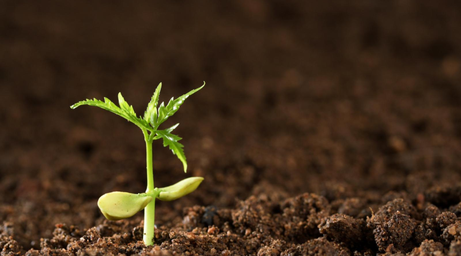 　　【中國儀表網(wǎng) 儀表新品】日前，天津大學地科院晏智鋒副教授與聯(lián)合西北太平洋國家實驗室—馬里蘭大學聯(lián)合全球氣候變化研究所合作，在土壤異養(yǎng)呼吸過程模型構建與應用上取得新進展，首次建立了可精準監(jiān)測土壤“碳排放”的過程模型系統(tǒng)，該系統(tǒng)可更加精準地預報土壤異養(yǎng)呼吸對大氣環(huán)境的影響。  　　全球變暖的主要原因是人類在近一個世紀以來地球排放出大量的CO2等溫室氣體