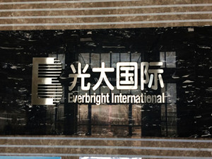 
	
                    
	【電纜網(wǎng)訊】近日，由光大國際裝備制造公司提供滲濾液處理系統(tǒng)EPC總包工程的非洲埃塞俄比亞垃圾發(fā)電項目正式竣工投產(chǎn)。這是非洲第一座垃圾發(fā)電廠，是中國和埃塞俄比亞在環(huán)保領(lǐng)域的第一個合作項目，是公司自主研發(fā)生產(chǎn)的滲濾液處理系統(tǒng)首次應(yīng)用于非洲