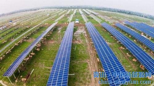                                                                                                                                                                     
	　　“不少私營(yíng)老板資金鏈斷裂，很多光伏電站都在轉(zhuǎn)讓，我一天至少接觸三四個(gè)項(xiàng)目。”一位光伏產(chǎn)業(yè)李姓負(fù)責(zé)人向經(jīng)濟(jì)觀察報(bào)記者表示，該人士是四川成都一家有著國(guó)企背