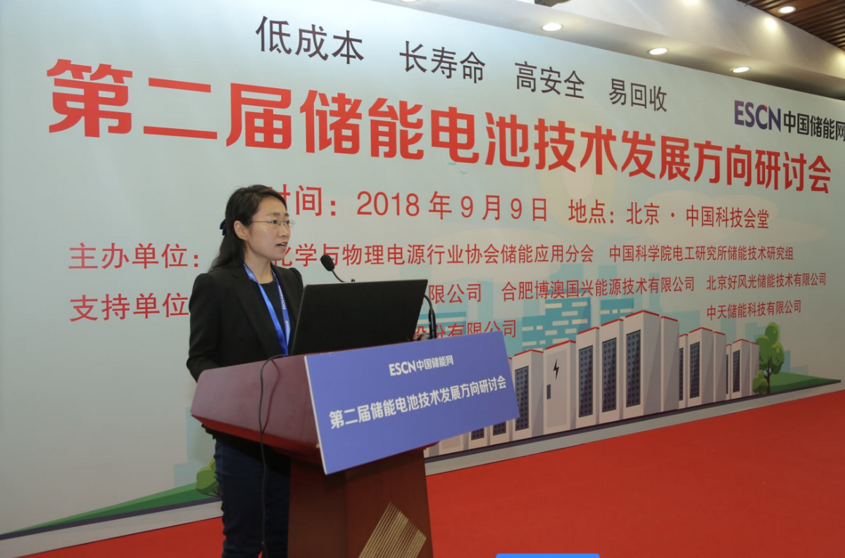 
	中國儲(chǔ)能網(wǎng)訊：9月9日，第二屆儲(chǔ)能電池技術(shù)發(fā)展方向研討會(huì)在京召開。



	本次會(huì)議由中國化學(xué)與物理電源行業(yè)協(xié)會(huì)儲(chǔ)能應(yīng)用分會(huì)與中國科學(xué)院電工研究所儲(chǔ)能技術(shù)研究組聯(lián)合主辦，北京好風(fēng)光儲(chǔ)能技術(shù)有限公司、浙江南都電源動(dòng)力股份有限公司、中天儲(chǔ)能科技有限公司、長興太湖能谷科技有限公司及合肥博澳國興能源技術(shù)有限公司等單位聯(lián)合支持