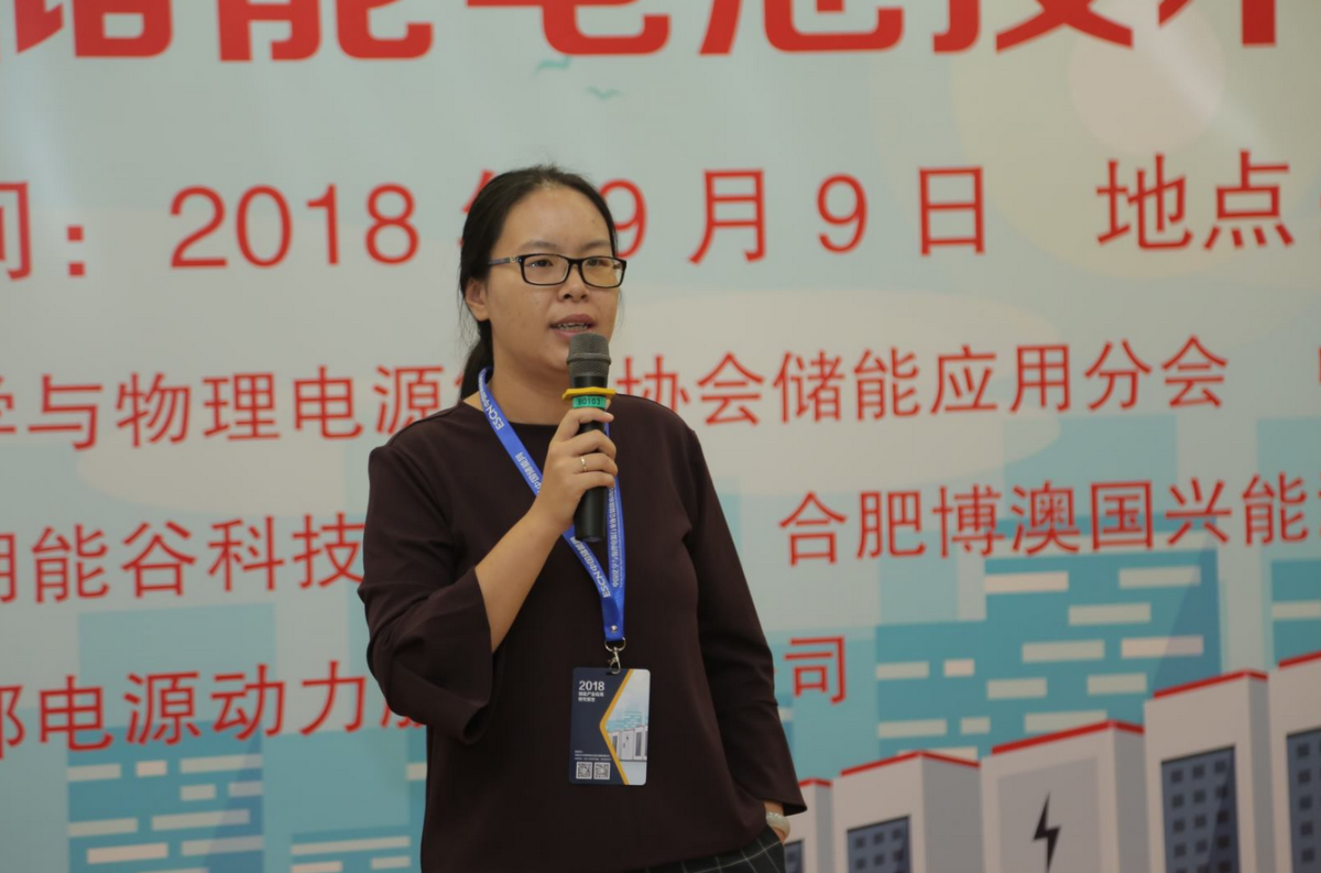 
	中國儲(chǔ)能網(wǎng)訊：9月9日，第二屆儲(chǔ)能電池技術(shù)發(fā)展方向研討會(huì)在京召開。



	本次會(huì)議由中國化學(xué)與物理電源行業(yè)協(xié)會(huì)儲(chǔ)能應(yīng)用分會(huì)與中國科學(xué)院電工研究所儲(chǔ)能技術(shù)研究組聯(lián)合主辦，北京好風(fēng)光儲(chǔ)能技術(shù)有限公司、浙江南都電源動(dòng)力股份有限公司、中天儲(chǔ)能科技有限公司、長興太湖能谷科技有限公司及合肥博澳國興能源技術(shù)有限公司等單位聯(lián)合支持