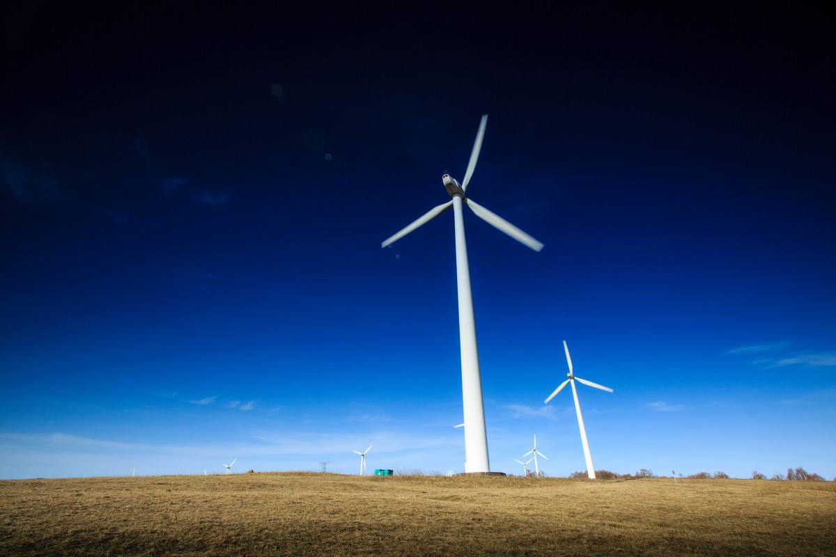 
	
                    
	【電纜網(wǎng)訊】近年來，國家電網(wǎng)冀北電力公司（下簡稱：國網(wǎng)冀北電力）大力推進(jìn)新能源裝機(jī)并網(wǎng)，新能源裝機(jī)占冀北區(qū)域電源裝機(jī)比例為48.1%，占冀北電網(wǎng)統(tǒng)調(diào)電源裝機(jī)比例為55.1%，占比居各省級電網(wǎng)之首。

	

	國網(wǎng)冀北電力已基本滿足張承地區(qū)可再生能源并網(wǎng)需求，“十三五”后三年，該公司計劃投資220億元，建設(shè)特高壓和柔直示范工程以及11項500千伏交流工程，進(jìn)一步加強(qiáng)可再生能源匯集網(wǎng)絡(luò)，解決大規(guī)?？稍偕茉床⒕W(wǎng)消納問題