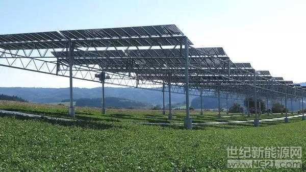  一些創(chuàng)新的想法，似乎在一夜之間涌現(xiàn)，而其他人則生根更慢，等待適當(dāng)?shù)臈l件茁壯成長。

Agrovoltaics是一個太陽能電池板和糧食作物在同一塊土地上共存的系統(tǒng)，它恰恰屬于后一類