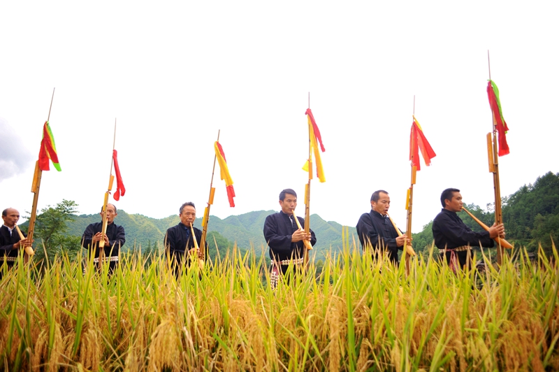 
　　苗族同胞吹蘆笙、跳蘆笙舞，喜迎首屆中國(guó)農(nóng)民豐收節(jié)。

　　苗族同胞跳蘆笙舞