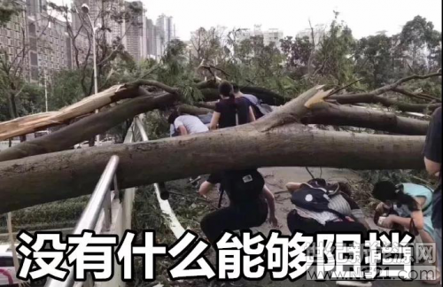    2018年9月16號(hào)，廣東20年以來(lái)最強(qiáng)臺(tái)風(fēng)“山竹”，席卷了香港、澳門(mén)、廣東深圳、汕尾等城市，狂風(fēng)過(guò)后被攔腰折斷或者連根拔起的樹(shù)木和吹翻的廣告牌到處都是。
用一句話來(lái)形容那就是“風(fēng)聲雨聲破裂聲聲聲入耳，樓抖窗抖大樹(shù)抖處處在抖”
 

 

 
  臺(tái)風(fēng)過(guò)后，到處一片狼藉，然而沒(méi)有什么能阻擋深圳人上班，17日一早，愛(ài)好工作的深圳人早已迫不及待趕赴公司