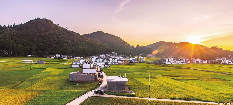 
　　興仁縣新農(nóng)村面貌

　　興仁供電局員工到獼猴桃基地了解客戶(hù)用電情況

　　興仁供電局在貧困山區(qū)為移民搬遷戶(hù)架設(shè)線(xiàn)路

　　9月18日，國(guó)務(wù)院扶貧辦發(fā)文，貴州省興仁縣符合貧困縣退出條件，標(biāo)志著興仁縣成為黔西南布依族苗族自治州2017年唯一一個(gè)“減貧摘帽”縣。52萬(wàn)興仁各族群眾圓了祖祖輩輩多年的夢(mèng)想