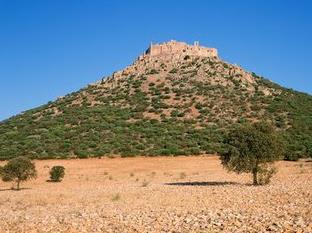 據(jù)coincryptorama報(bào)道，將在西班牙為加密貨幣開采商開發(fā)高達(dá)300MW的光伏產(chǎn)能，并正在馬拉加建設(shè)兩個(gè)能源密集型的加密礦場(chǎng)。財(cái)經(jīng)日歷資訊快遞貴金屬模擬交易貴金屬專家直播室金投網(wǎng)貴金屬行情軟件據(jù)報(bào)道，該公司的目標(biāo)是用可再生能源為其每一處采礦設(shè)施供電，以抵消對(duì)加密挖礦碳排放量的日益增加的批評(píng)