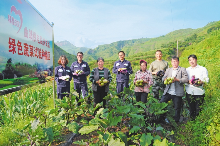 
　　留田村隸屬于云南省曲靖宣威市楊柳鎮(zhèn)，地處高山崇嶺中，村民賴以生存的耕地都在陡峭的山坡上，脫貧致富的夢想更寄托在那里。自從今年3月份來到這里駐村扶貧后，云南電網(wǎng)曲靖供電局留田村第一書記李修權(quán)帶著蔡俊強(qiáng)和陳海云兩名扶貧工作隊(duì)員，和貧困戶們一起弄起了58畝的露天蔬菜基地，因地制宜開展當(dāng)?shù)孛撠氈赂划a(chǎn)業(yè)