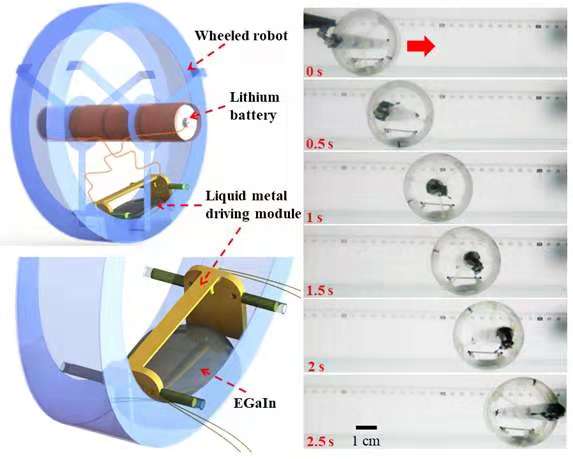 　　【中國儀表網(wǎng) 儀表下游】近日，中國科學(xué)技術(shù)大學(xué)精密機(jī)械與精密儀器系副教授張世武研究團(tuán)隊(duì)、澳大利亞伍倫貢大學(xué)教授李衛(wèi)華研究團(tuán)隊(duì)和蘇州大學(xué)機(jī)器人與微系統(tǒng)中心副教授李相鵬研究團(tuán)隊(duì)組成的聯(lián)合研究組，設(shè)計(jì)了基于鎵基室溫液態(tài)金屬的新型機(jī)器人驅(qū)動(dòng)器，首次實(shí)現(xiàn)了液態(tài)金屬驅(qū)動(dòng)的功能性輪式移動(dòng)機(jī)器人。近日，該成果以A Wheeled Robot Driven by a Liquid‐Metal Droplet 為題，發(fā)表在《先進(jìn)材料》雜志上(Adv. Mater. 2018, 201805039)